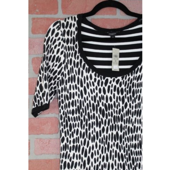 Ann Taylor Spot & Striped Contrast Sweater Dress - Picture 2 of 4